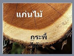 ดาวน์โหลด (1).jpg