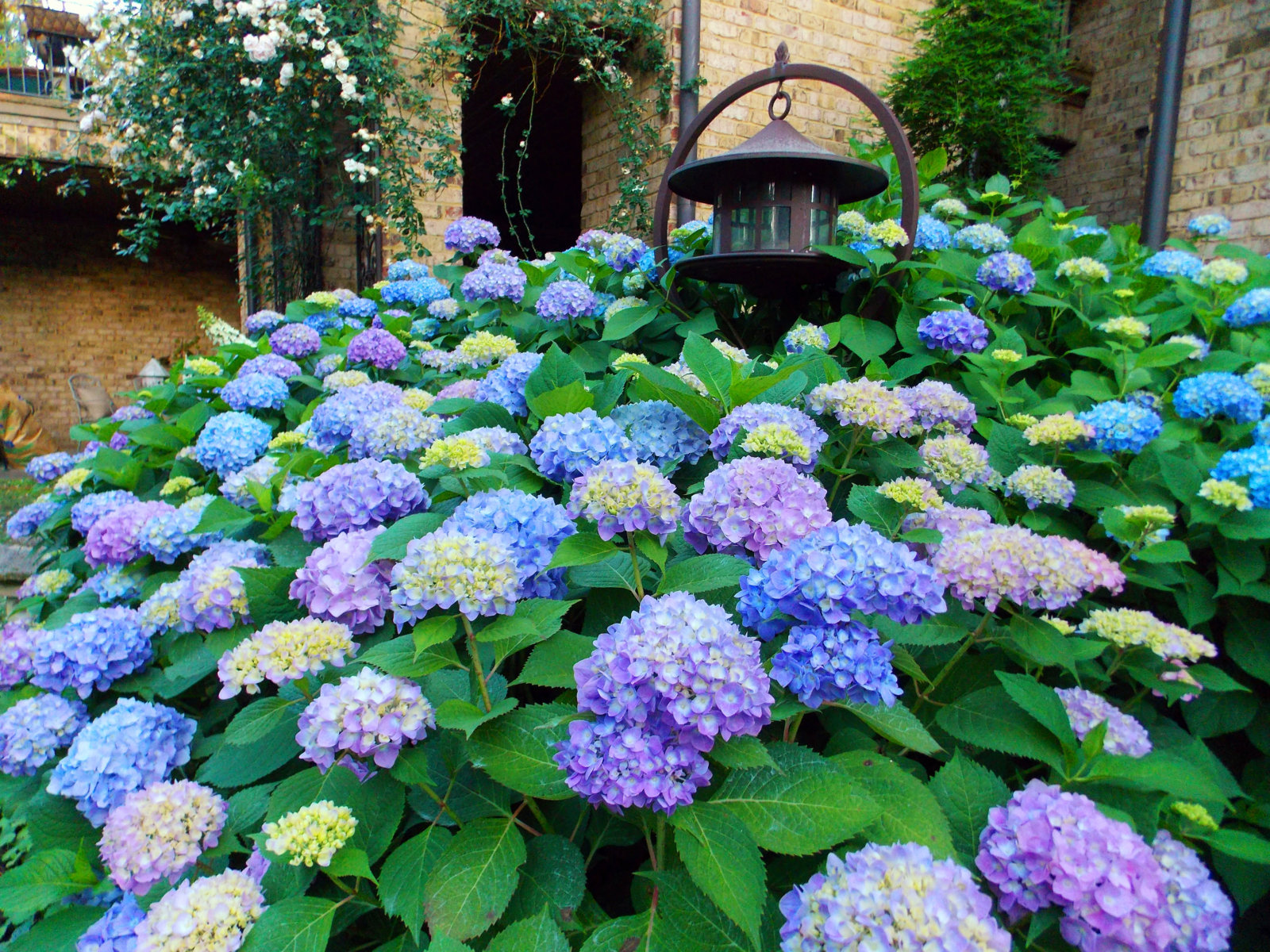 2012-05-11_5674_edited-2.jpg