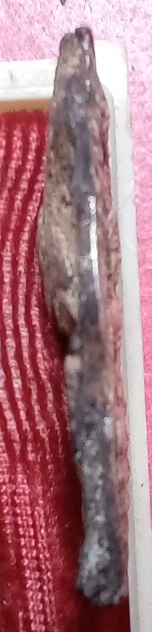 20260313_203501.jpg