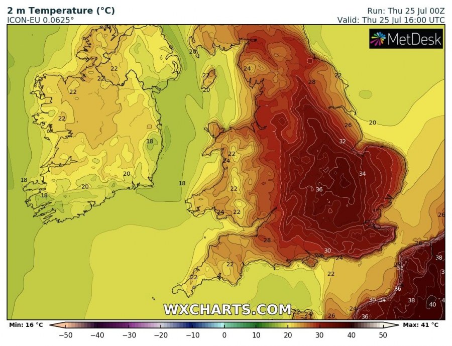 2mtemp_20190725_00_016.jpg-nggid049594-ngg0dyn-900x900x100-00f0w010c010r110f110r010t010.jpg