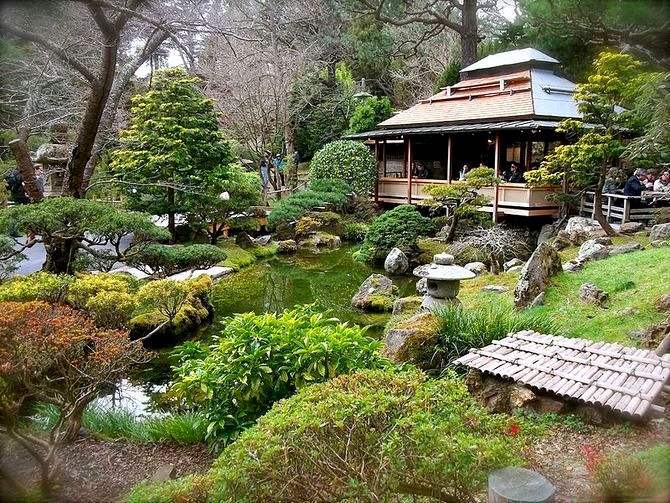 800px-Japanese_Tea_Garden.0.0.0.0.jpg