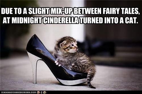 cinderella-cat.jpg