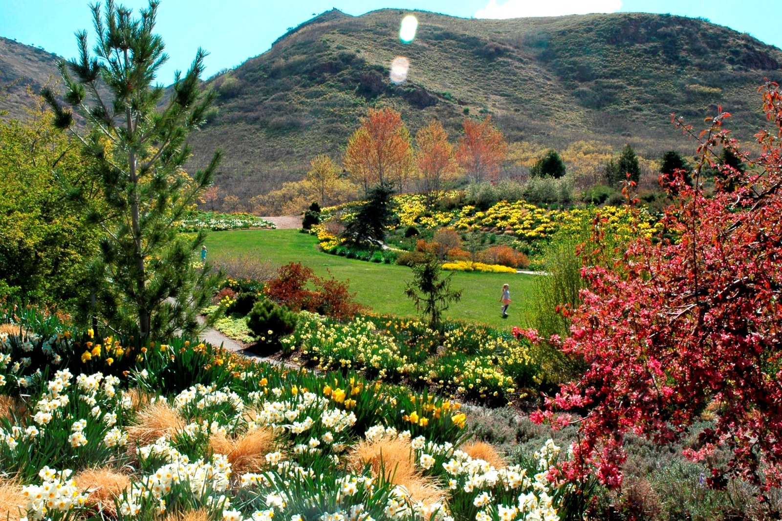 Monday redbuttegarden.jpg