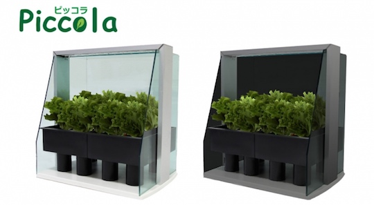 piccola-hydroponic-grow-box-vegetables-1.jpg