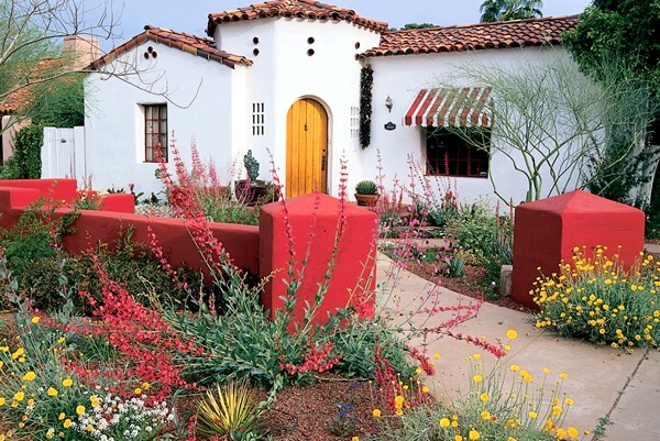 Sunday dramatic-yard-plants.jpg